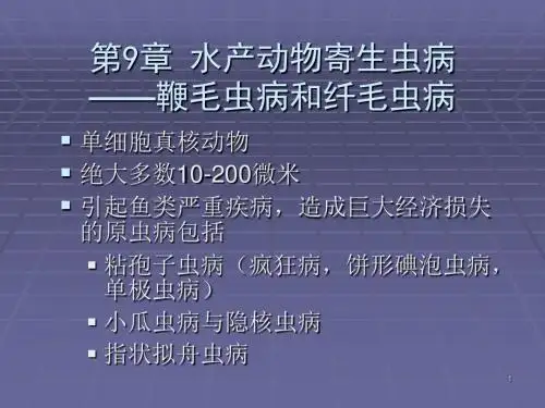 水产动物寄生虫病ppt课件(1)