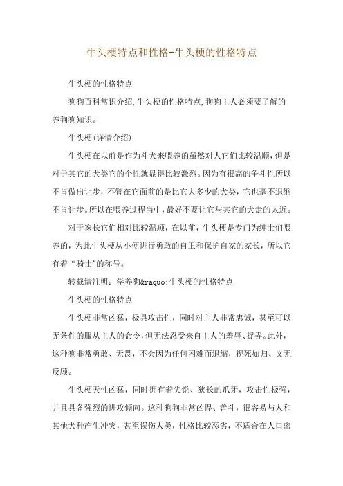 牛头梗特点和性格-牛头梗的性格特点
