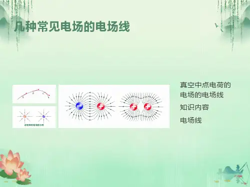 几种常见的磁场(完美版)