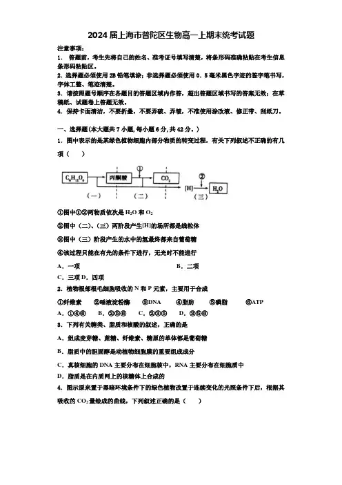 2024届上海市普陀区生物高一上期末统考试题含解析