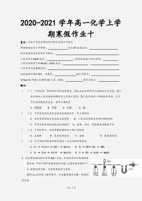 2020-2021学年高一化学上学期寒假作业十
