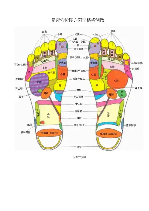 脚部穴位图全面(图文)