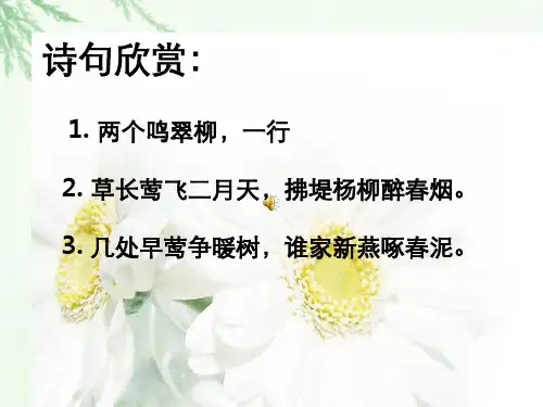 《珍珠鸟》优秀课件
