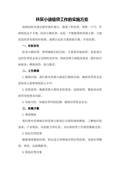 扶贫小额信贷工作的实施方案