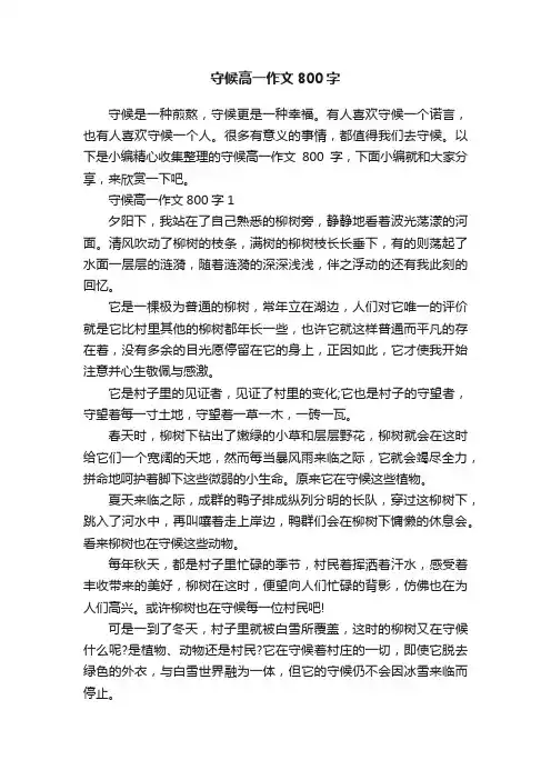 守候高一作文800字