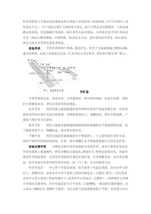 井矿盐生产技术