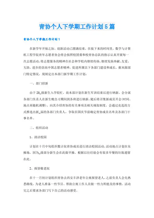 青协个人下学期工作计划5篇