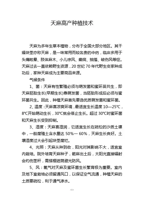 天麻高产种植技术