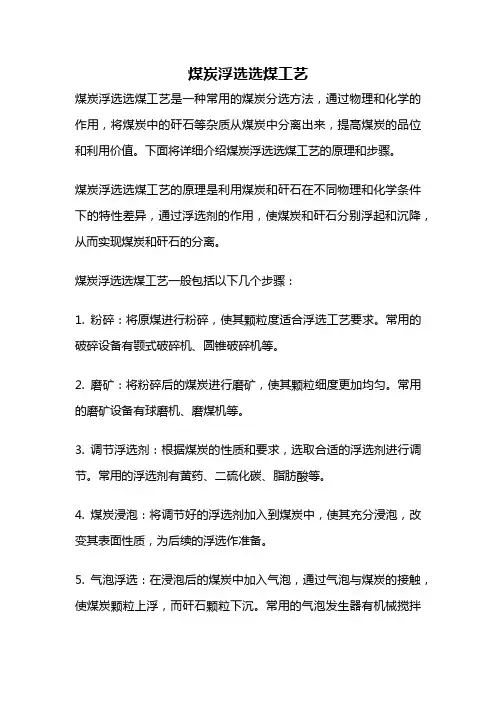 煤炭浮选选煤工艺