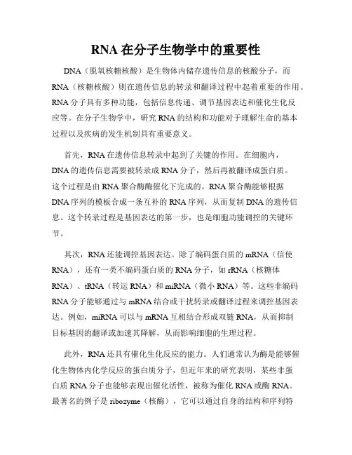 RNA在分子生物学中的重要性