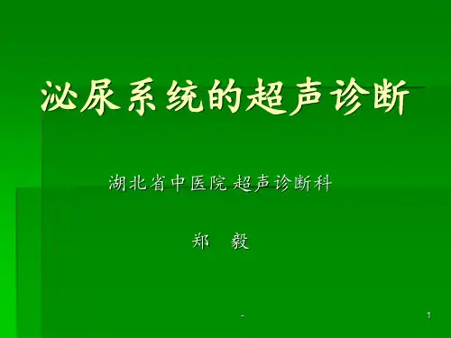 超声诊断 泌尿系统ppt课件