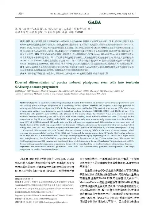 猪诱导多能干细胞可定向分化为前脑GABA能神经元前体