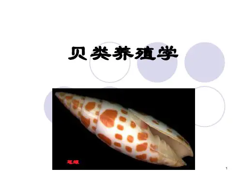 贝类 增养殖学 水产养殖 贝类学 贝类育种 贝类养殖学之初 绪论