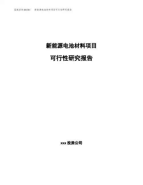 新能源电池材料项目可行性研究报告