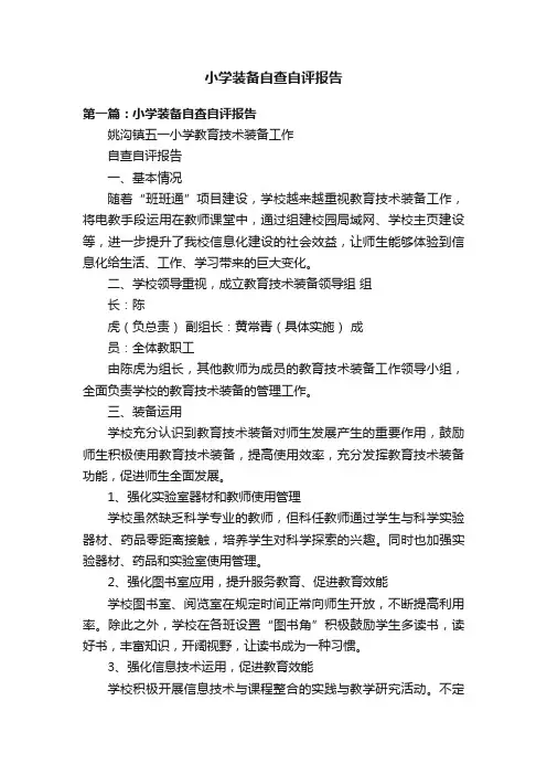 小学装备自查自评报告