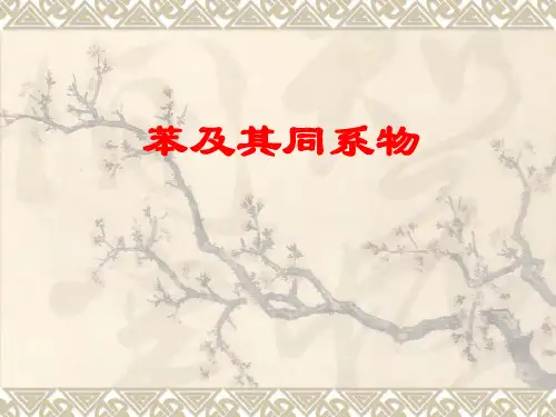 苯及其同系物ppt