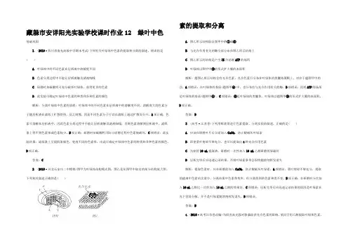 高考生物一轮复习 课时作业12 绿叶中色素的提取和分离