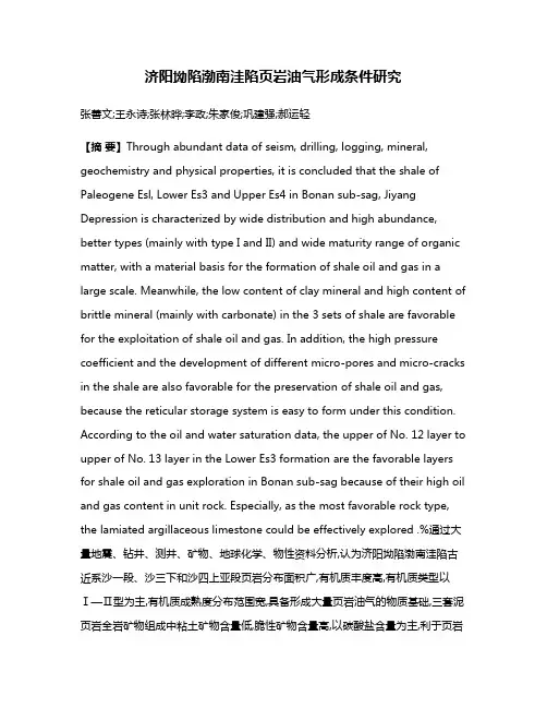 济阳坳陷渤南洼陷页岩油气形成条件研究