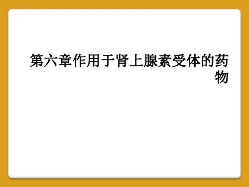 第六章作用于肾上腺素受体的药物