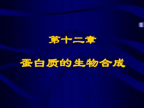 动物生物化学课件：蛋白质的生物合成