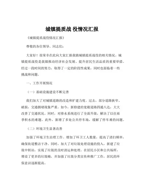 城镇提质战 役情况汇报