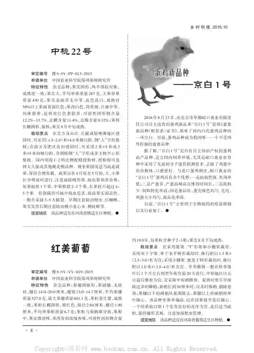 蛋鸡新品种——京白1号