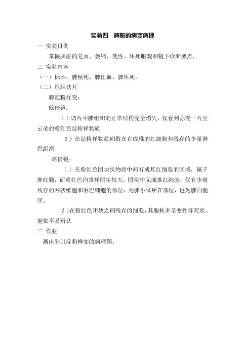 实验四   脾脏的病变病理