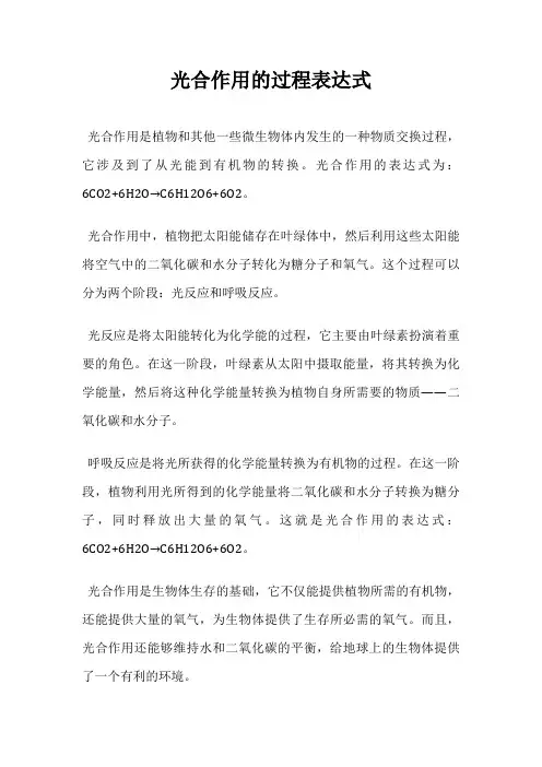 光合作用的过程表达式