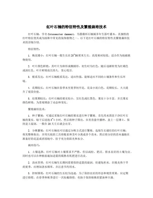 红叶石楠的特征特性及繁殖栽培技术