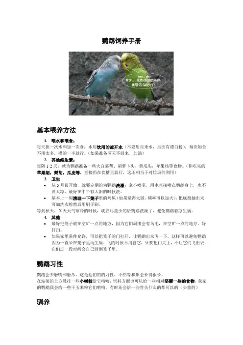 鹦鹉饲养手册