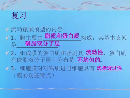 流动镶嵌模型的内容