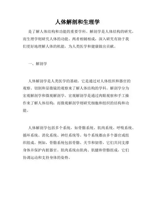 人体解剖和生理学