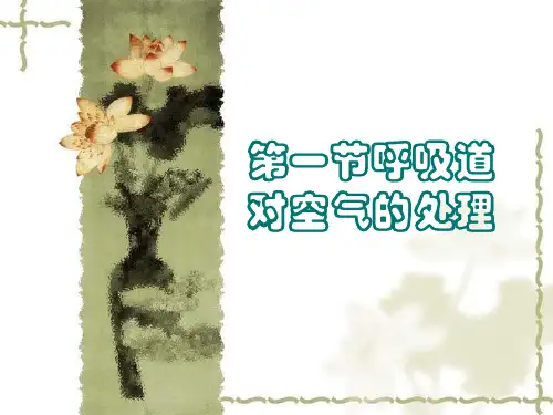 第三节呼吸道对空气的处理共26页文档