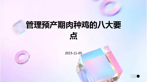 管理预产期肉种鸡的八大要点