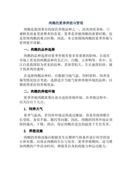 肉鹅的夏季养殖与管理
