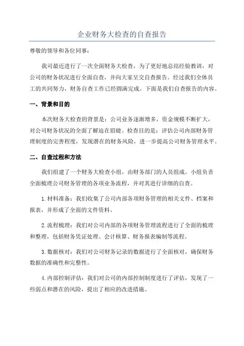 企业财务大检查的自查报告