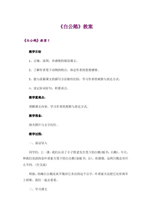 《白公鹅》教案
