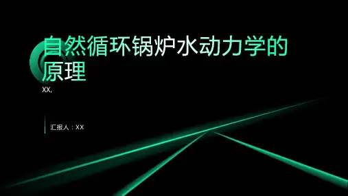锅炉原理 10自然循环锅炉水动力学