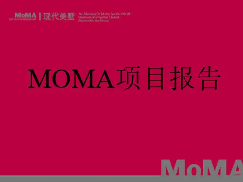 《MOMA项目报告》PPT课件