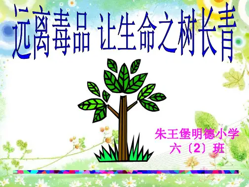禁毒教育主题班会(共17张PPT)