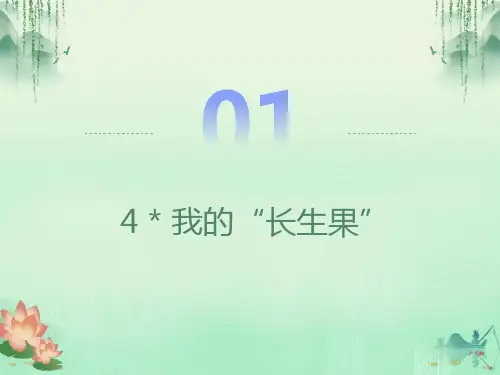我的长生果ppt课件