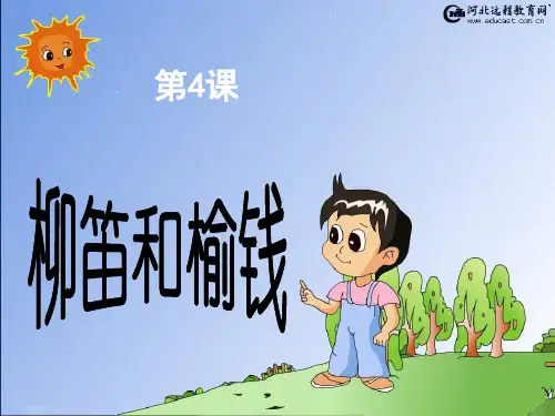 第四课柳笛与榆钱ppt