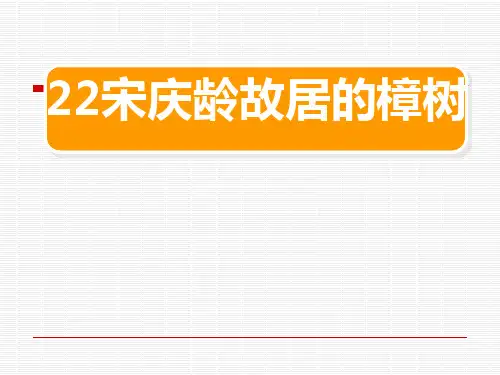 22宋庆龄故居的樟树PPT课件