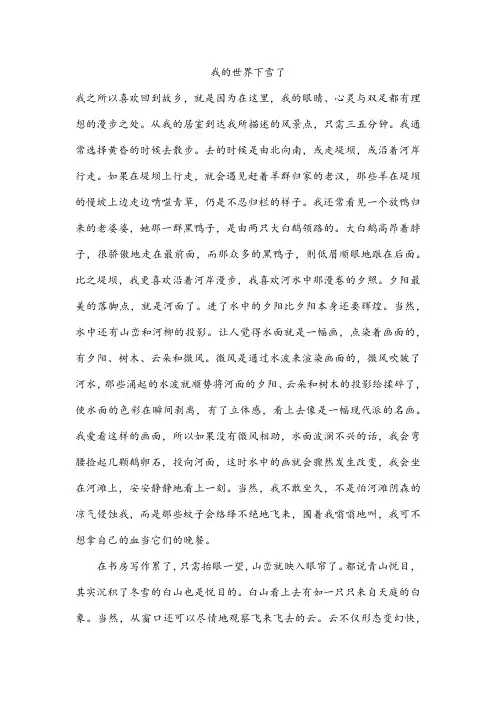 我的世界下雪了 