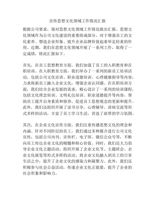 宣传思想文化领域工作情况汇报