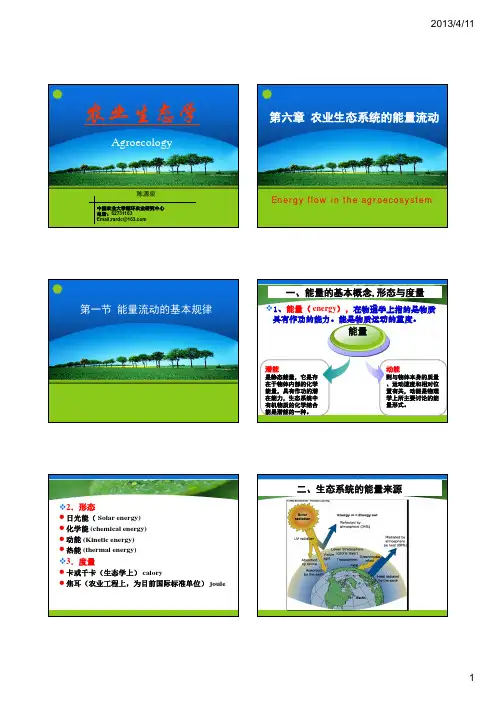 第六章 农业生态系统的能量流2013