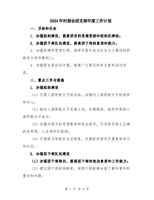 2024年村委会团支部年度工作计划