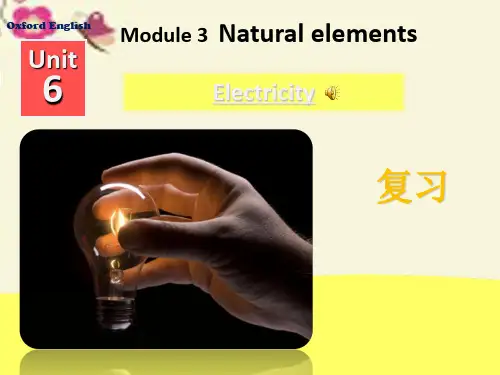 牛津深圳版英语七下Unit 6《Electricity》(Reading)ppt复习课件