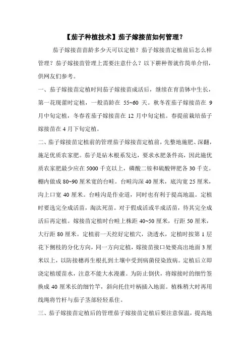 【茄子种植技术】茄子嫁接苗如何管理？