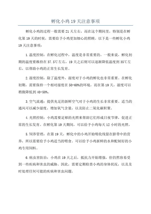 孵化小鸡19天注意事项